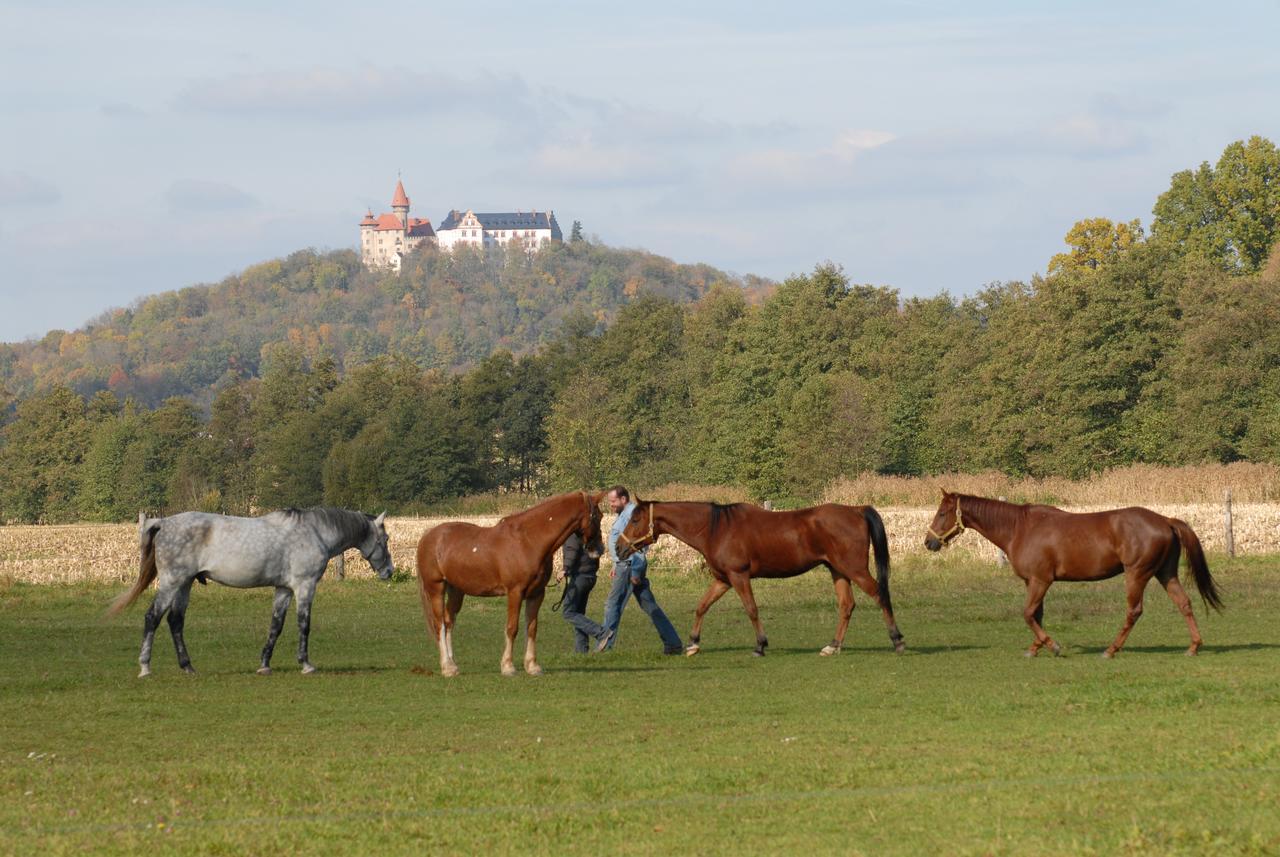 Land- Und Aktivhotel Altmuehlaue Bad Rodach Dış mekan fotoğraf
